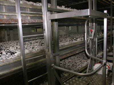 Lucky Grower Realizacja 12