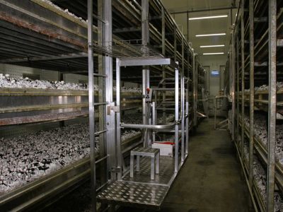 Lucky Grower Realizacja 16